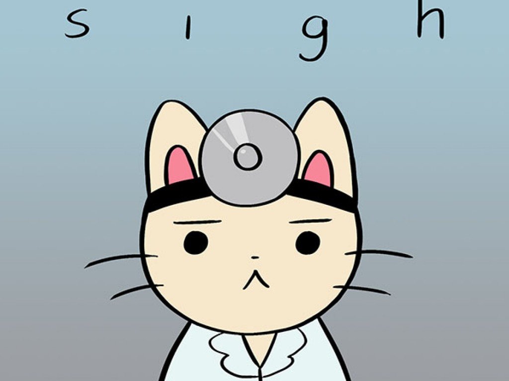 Doctor Cat