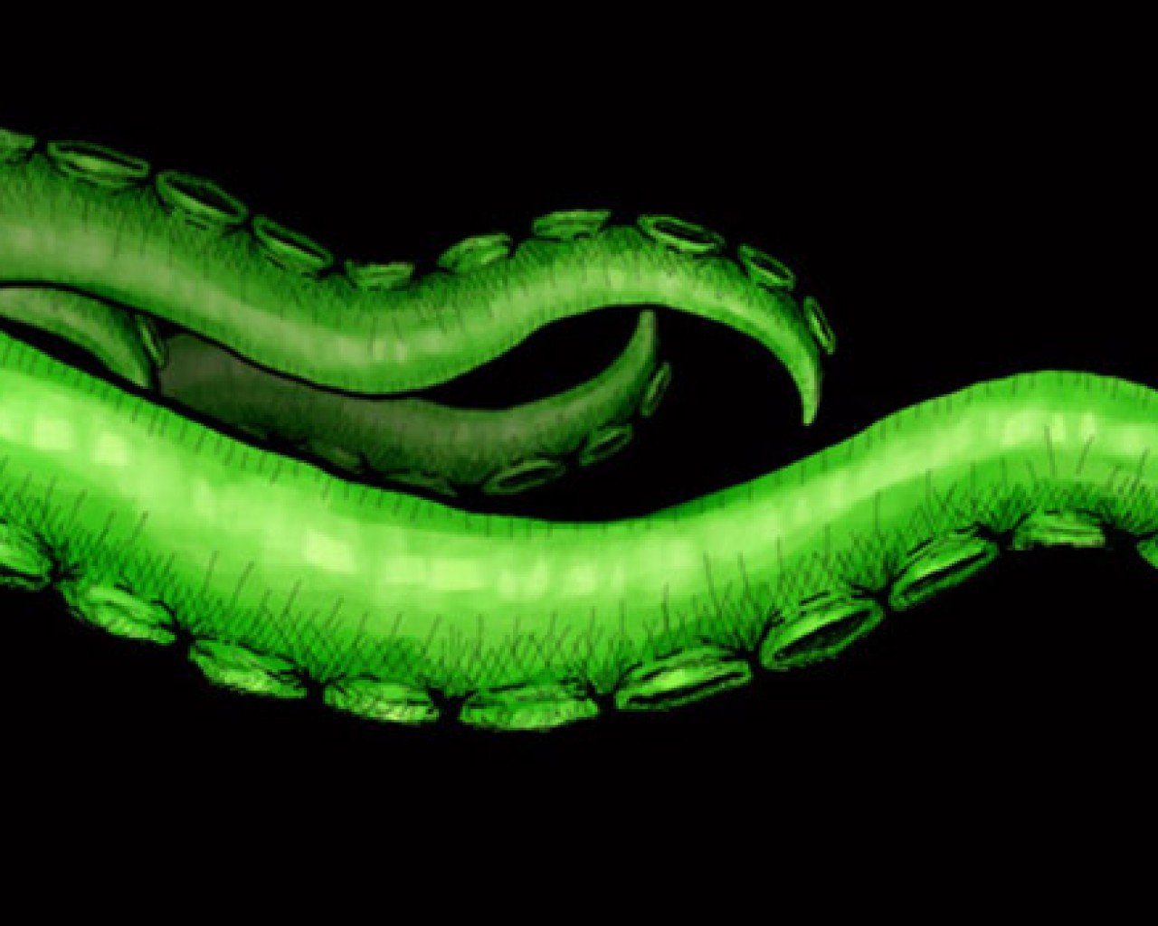 Poster Image for Monstrous Pulp